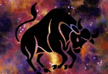 Най-Важните Черти на Зодия Телец (+ 10 Факти за Телец )