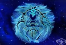 Истини за зодия Лъв