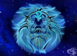 Истини за зодия Лъв